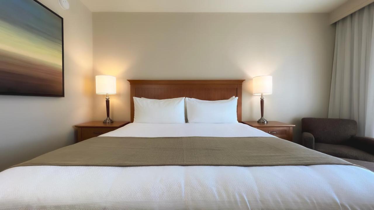 Coast Superior Room, One King Bed,1324170883:JPEG